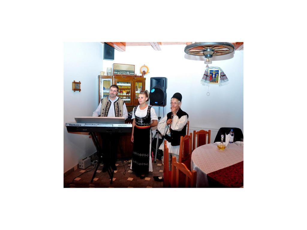 Pensiunea Andrei ซิบิเอล ภายนอก รูปภาพ